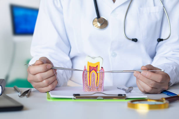 Best Knocked-Out Tooth (Avulsed Tooth) Treatment in Northlakes, NC
